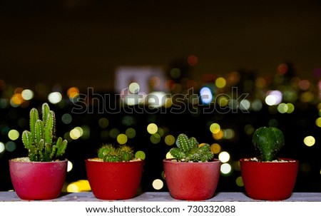 cactus and night city background