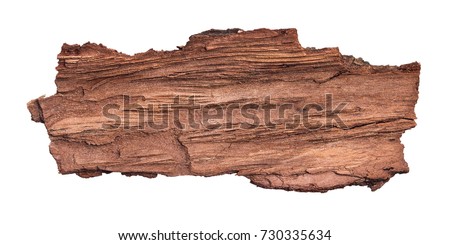 Large piece of bark inside isolated white background Royalty-Free Stock Photo #730335634
