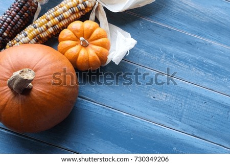 Pumpkins on colorful texture wood backgrounds