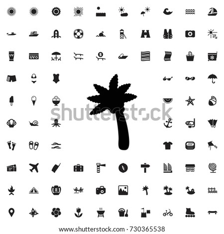 Palm icon. vector isolated icon for web and mobile on white background.. set of filled summer icons.