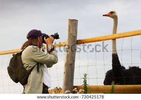 photographer taking pictures of ostrich behind the fence, traveler man with camera shooting a ostrich