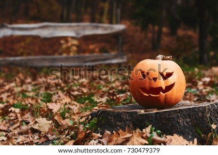 Shot of a Halloween pumpkin in an autumn forest copyspace season seasonal mysterious traditional symbol concept copyspace.