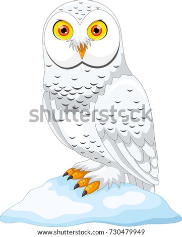 Vector illustration of cartoon Arctic owl isolated on white background