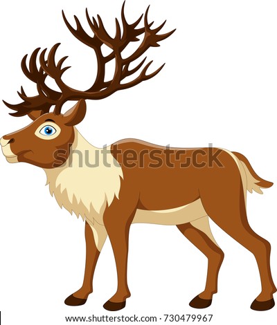 Vector illustration of cartoon reindeer isolated on white background