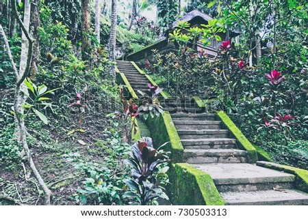 Stairs of stone slabs are surrounded by tropical green and red plants. Processing in retro style.