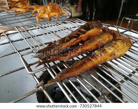 Grilled cat fish in a row