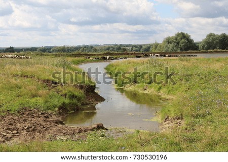 a wonderful bright rural landscape with a pond. bright sun, clean air and water
