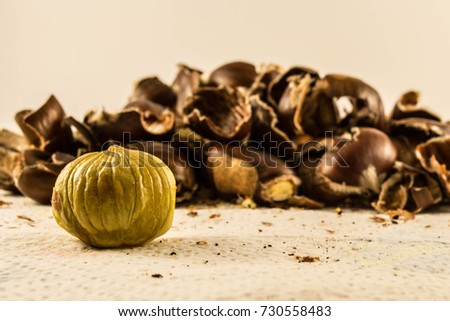 The rich chestnut