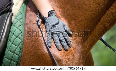 hand in glove on a horse's rump Royalty-Free Stock Photo #730564717