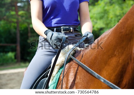  woman rider sits on horse Royalty-Free Stock Photo #730564786