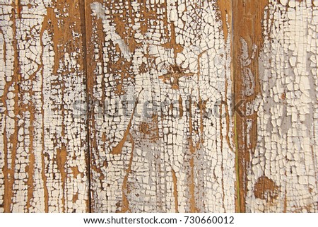 Beautiful wooden background. Vintage Background with Fissures on the Tree.