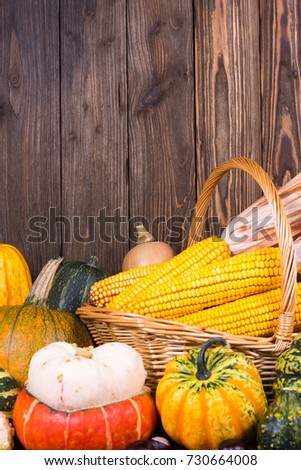 Autumn Thanksgiving motive with a basket full with corn cobs and different colorful pumpkins on an old rustic wooden background with copy space in the upper area of the picture