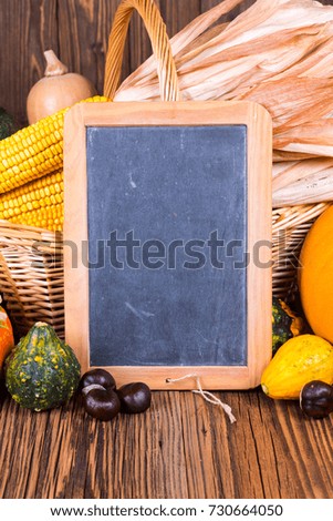 Autumn harvest festival motive with various pumpkins in front of a basket with corn cobs on a rustic wooden background with copy space on a slate board and in the lower area of the picture