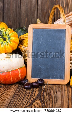 Autumn harvest festival motive with various pumpkins in front of a basket with corn cobs on a rustic wooden background with copy space on a slate board and in the lower and upper area of the picture