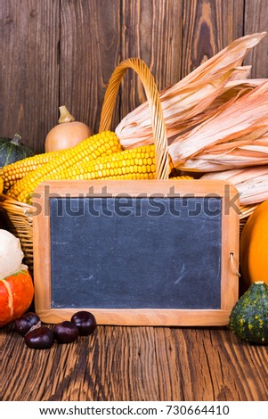 Autumn harvest festival motive with various pumpkins in front of a basket with corn cobs on a rustic wooden background with copy space on a slate board and in the lower and upper area of the picture