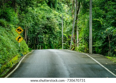 asphalt road with Up Steep hill traffic sign in tropical zone forest