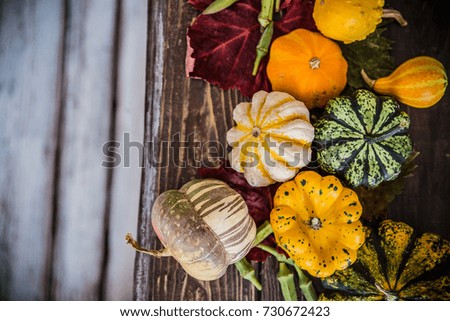 Colorful pumpkins decoration on wooden table / Halloween - Thanksgiving - Autumn concept