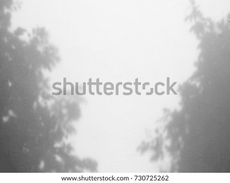 shadow tree on white wall background