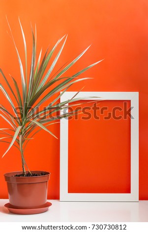 Picture Frame for Home Decoration. White photo frame on orange background. Potted plant 