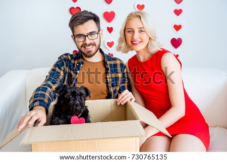 Valentine day with a dog