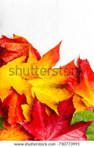 Autumn composition with yellow maple leaves on white wooden table. Beautiful Autumn background with copy space. Flat lay, top view, copy space

