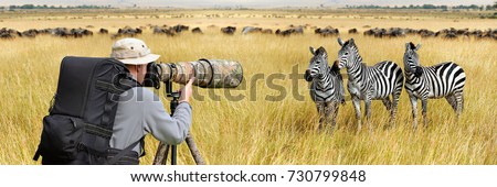 Professional wildlife photographer on safari. Zebra shot