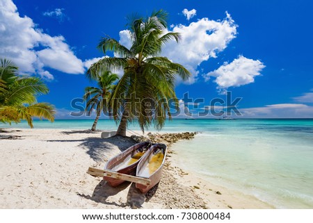 Paradise nature, sea on a tropical beach with green tree palm