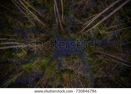  Romantic starry night in forest with treetop background and camp light on mountain in Thailand.