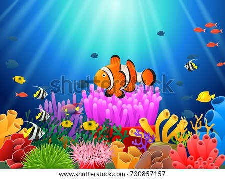 Clown fish under the sea. Vector illustration