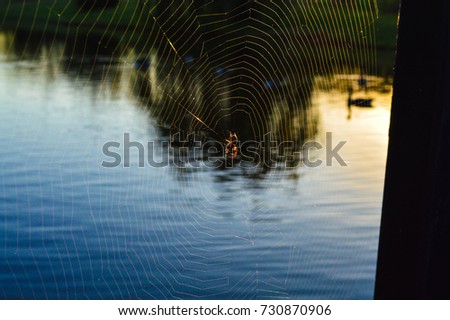 A vibrant photo of a spider in a web over a lake with duck silhouettes in the background  