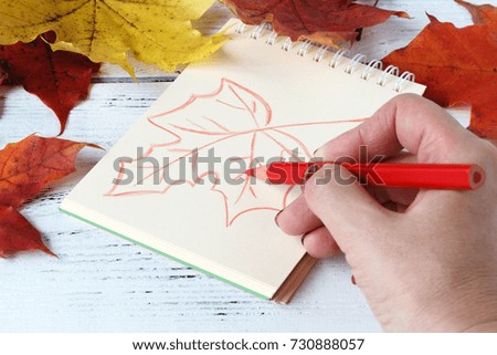 Girl paints patterns autumn leaf