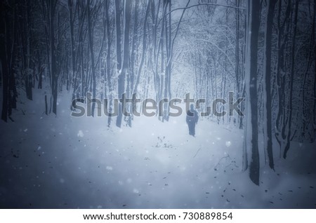 magical winter landscape, man wandering in frozen forest