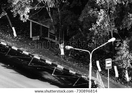 Autumn in the city. Bus stop among the autumn trees. View from above. Black and white photography. Monochrome photography.