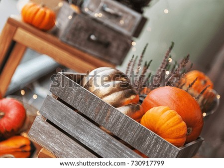 autumn composition with pumpkins
