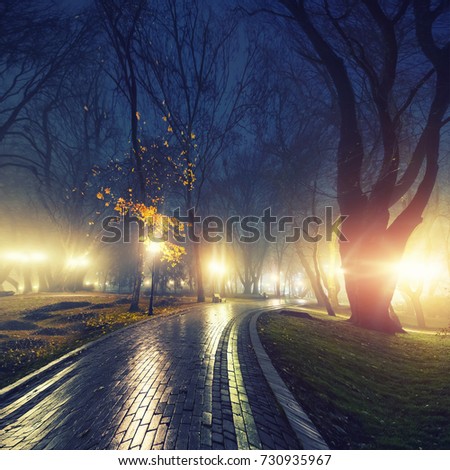 Footpath in a fabulous autumn city park at night in a fog