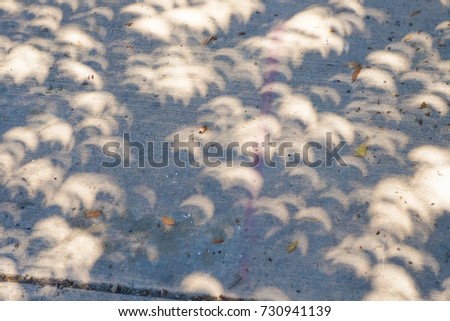 Eclipse Leaf Shadow in Texas