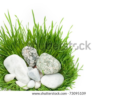 Grass and stones on a white background