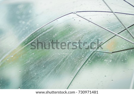 Wet umbrella. Rain. Autumn