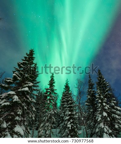 Beautiful picture of massive multicoloured green vibrant Aurora Borealis,Tromso..Norway