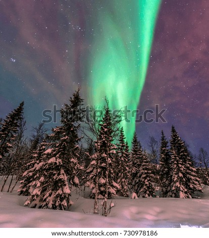 Beautiful picture of massive multicoloured green vibrant Aurora Borealis