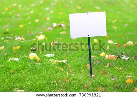 A signboard for your signature in the picturesque green autumn grass. Green lawn background with autumn leaves.	