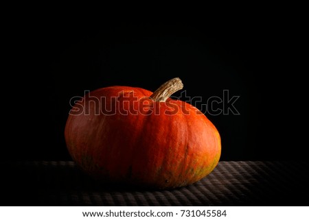 beautiful bright orange pumpkin on a black background. vivid photo of a vegetable