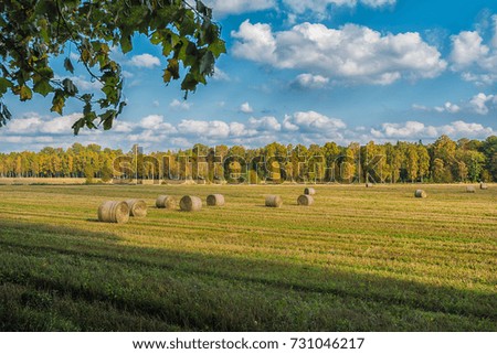 Picture of straw bales at the farm field with blue sky and green trees.