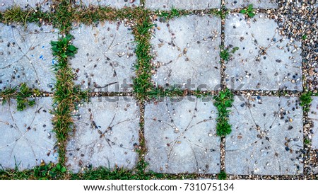 Tile in city with small stones and grass sprouts between the tiles. Summer style road on the playground.