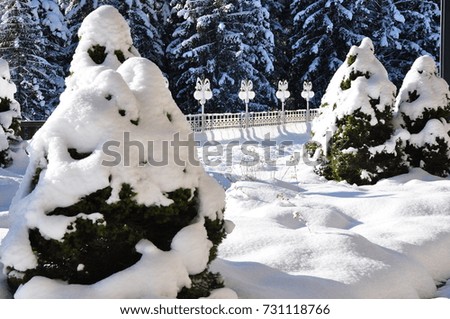 Winter pictures. Austria