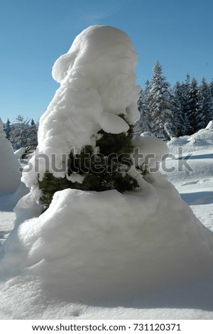 Winter pictures. Austria