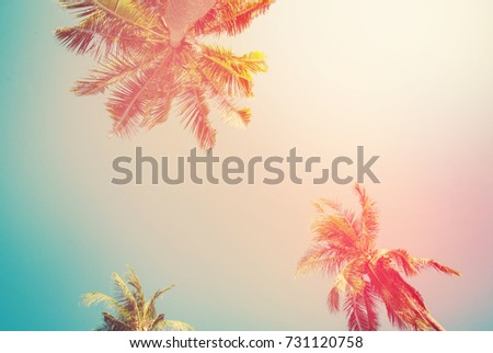 tropical background palm trees sun light holiday travel design card filter pastel effect