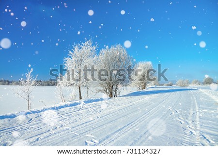 winter rural landscape with road, forest and blue sky. Sunny frosty wintry day and path. trees covered with snow.
