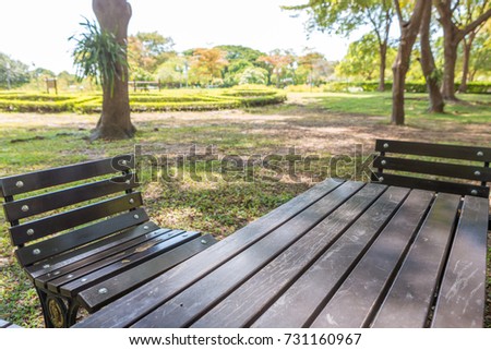 Bench and table in a shady and beautiful park