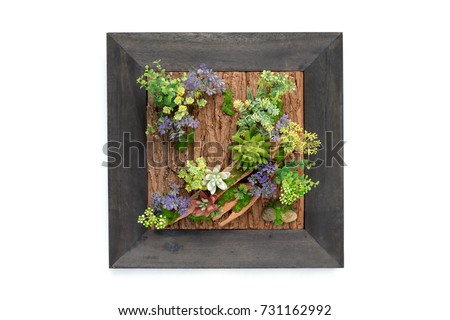 Picture frame plastic flowers on white background